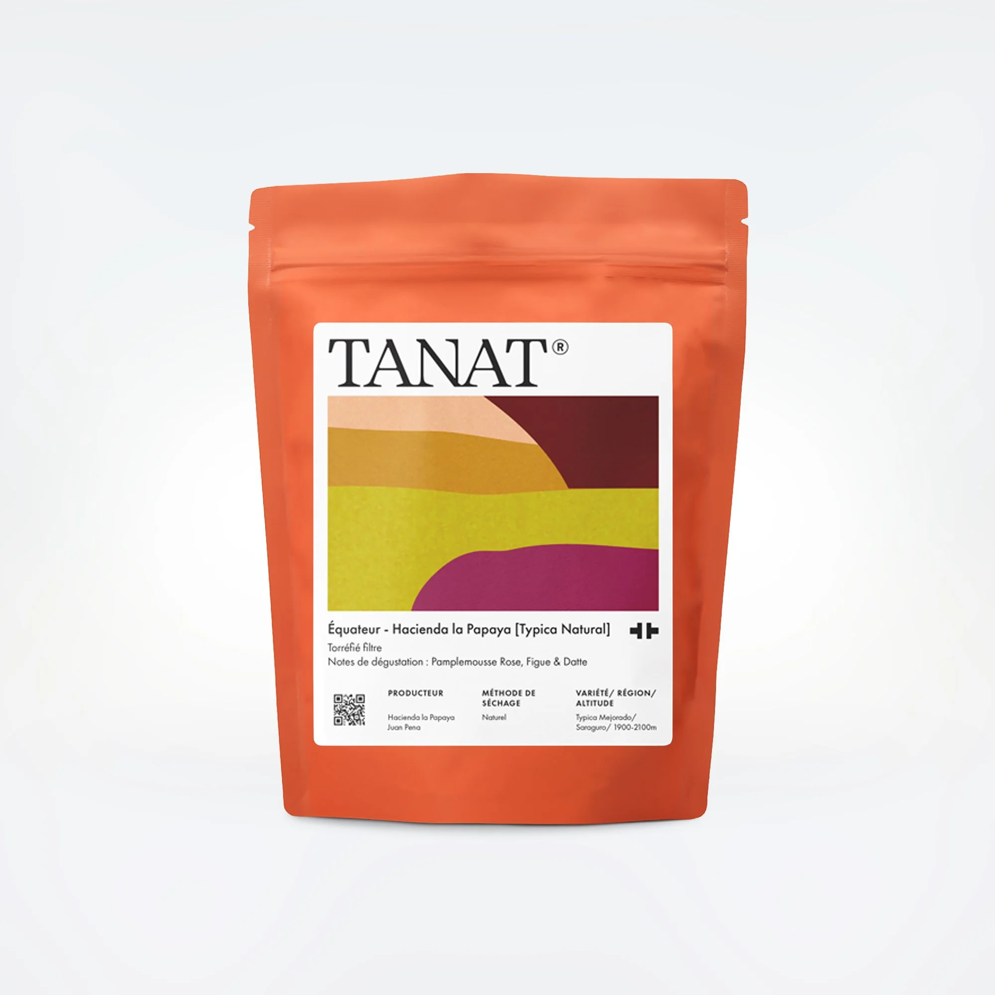 TANAT-Hacienda-la-Papaya-Bad-Mother-1.jpg