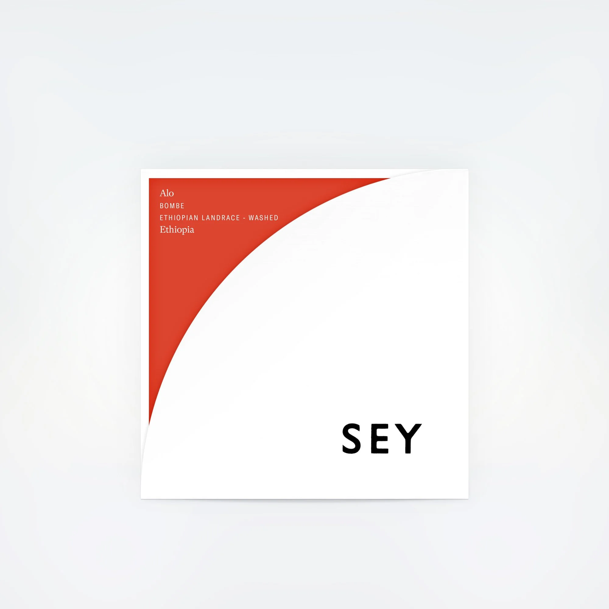 SEY-Alo-Bombe-Bad-Mother.jpg