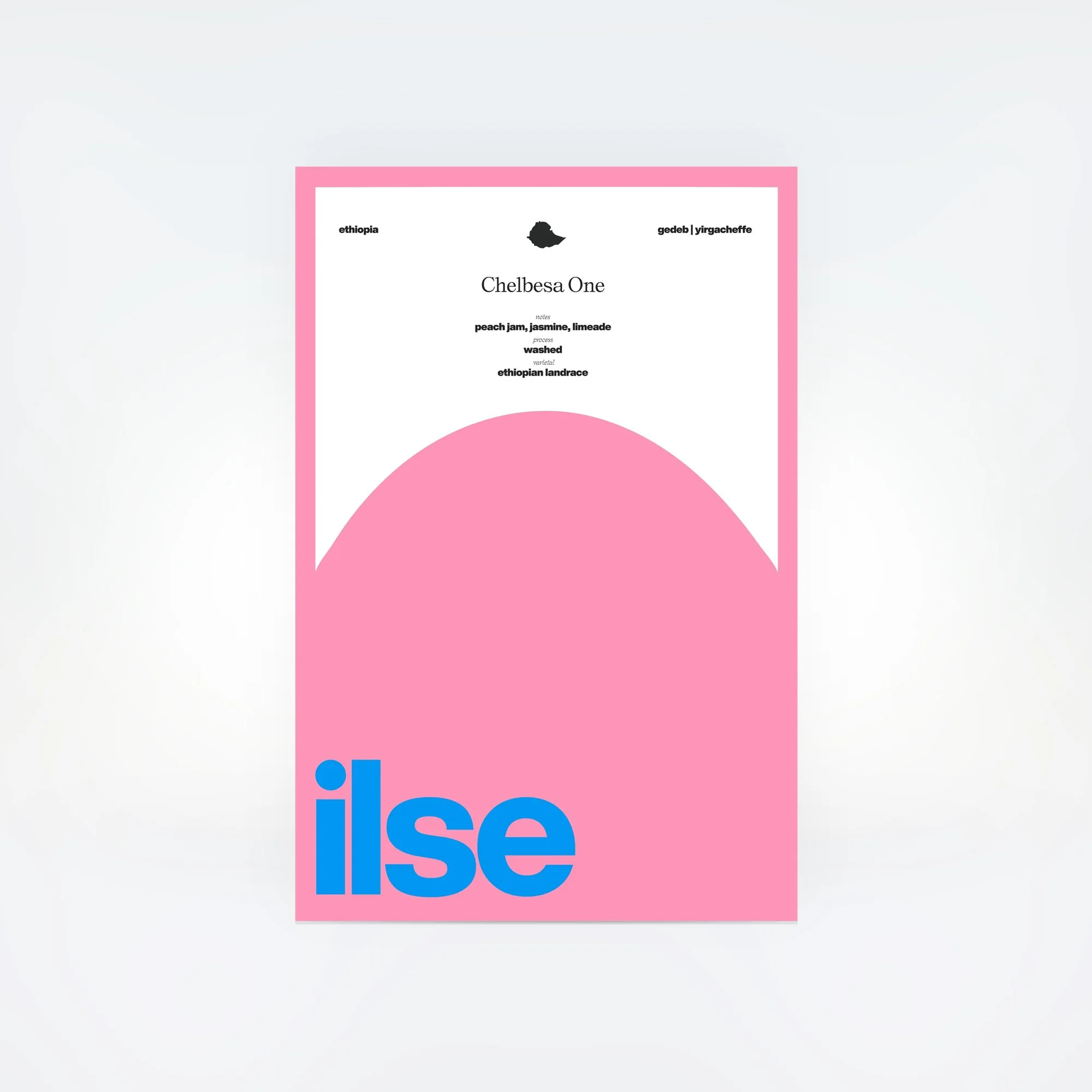 ilse-Chelbesa-One-Bad-Mother.jpg