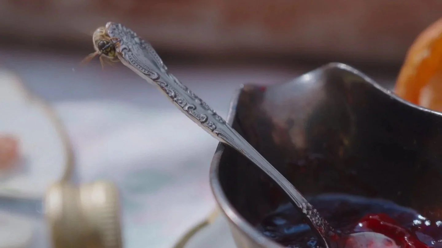 STILL ROSE - ENDLESS FEELING