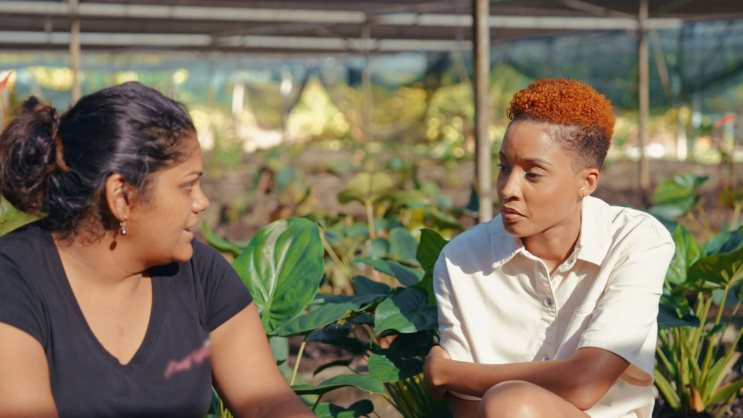 Still 2025-09-03 182828_1.378.1.JPG