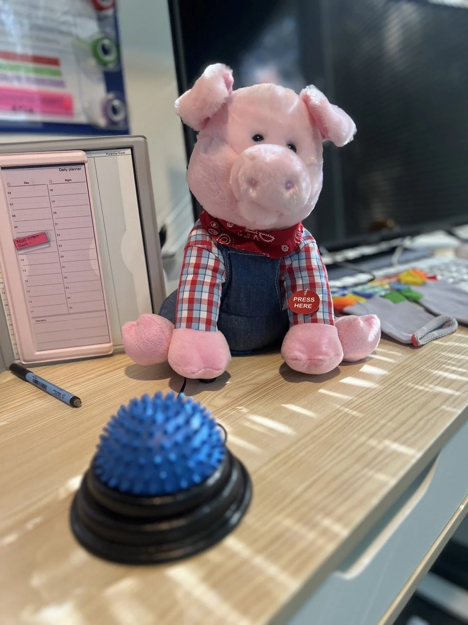 Switch accessible pig toy