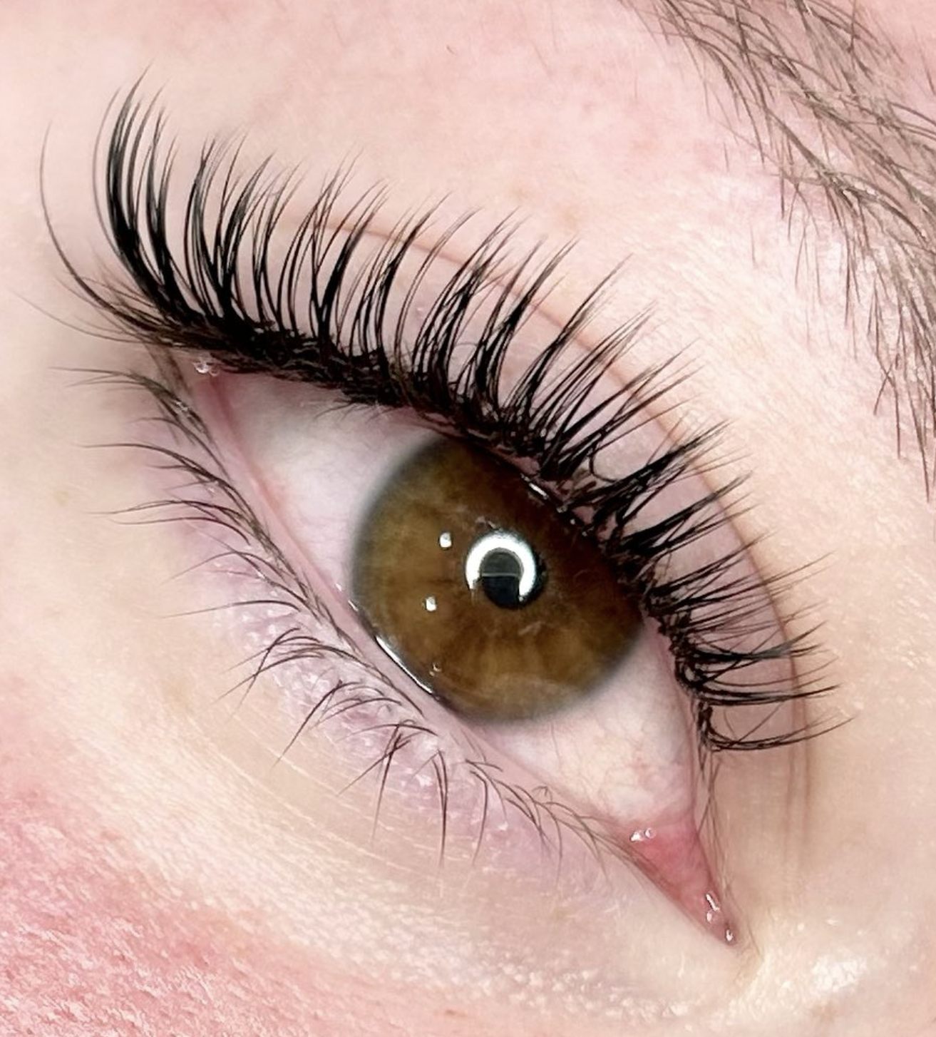 Close-up of a brown eye with long eyelashes and visible reflection of lights in the eye.