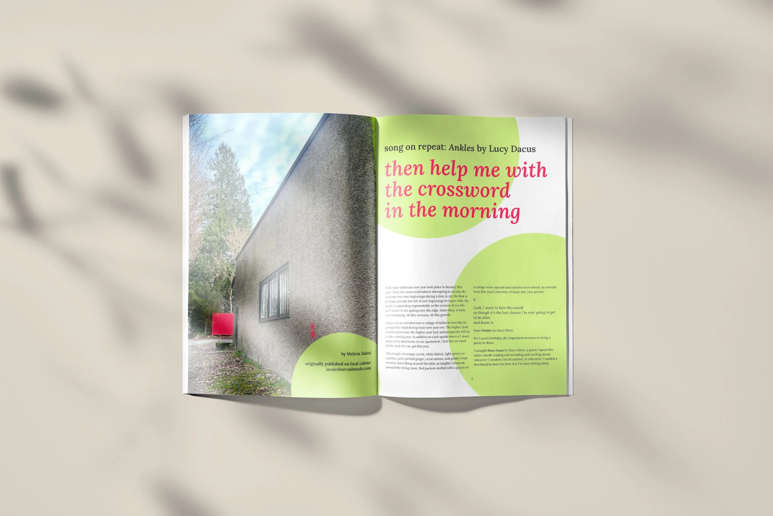 editorial layout — mel zaini