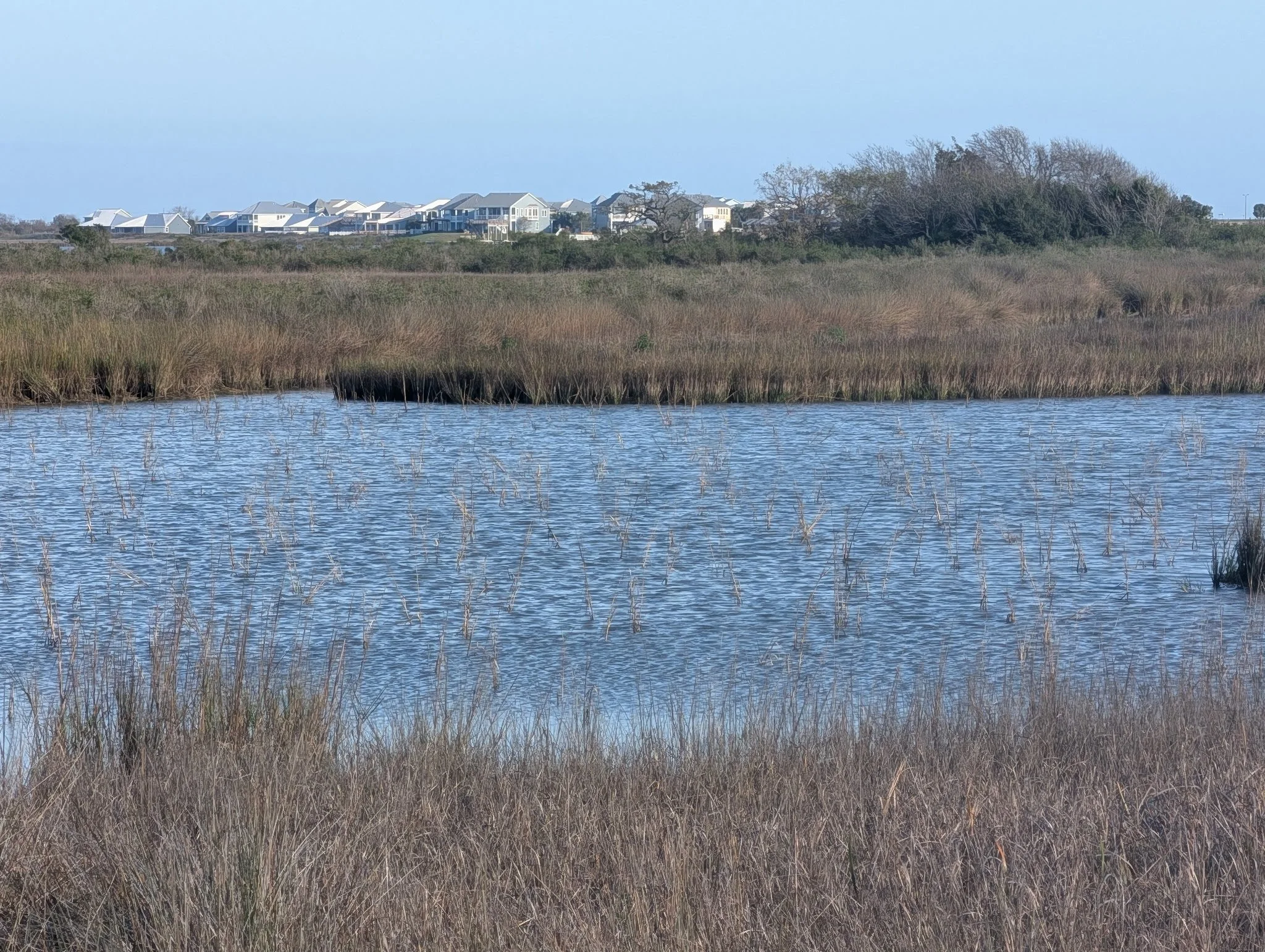 A body of water with tall grass in the foreground and a marshland extending into the distance. Houses are visible on the horizon, and the sky is clear and blue.
