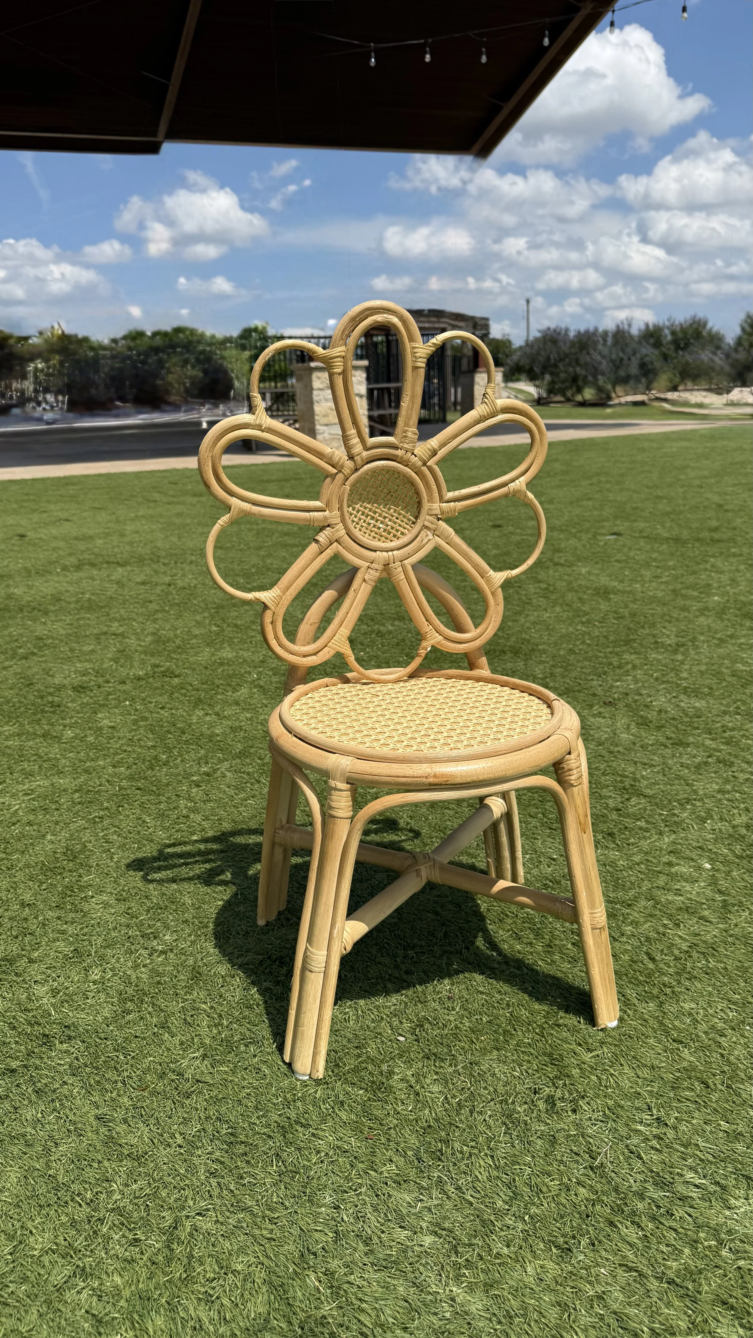 The Daisy