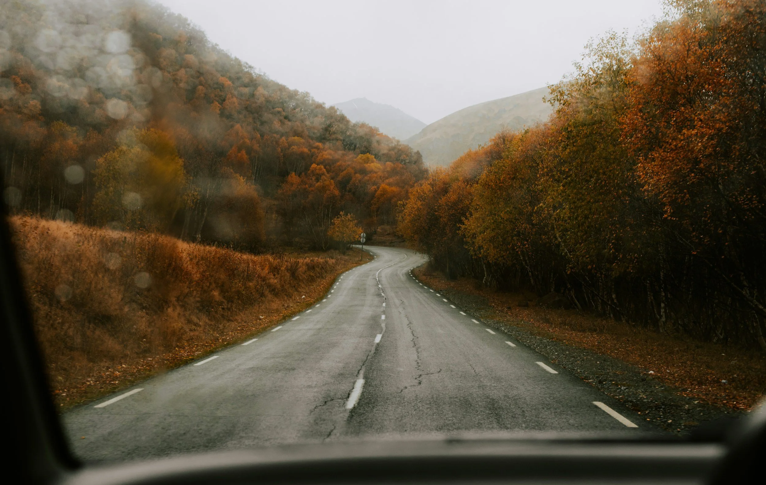 A winding mountain road surrounded by trees with autumn foliage, viewed from inside a vehicle on a rainy day.