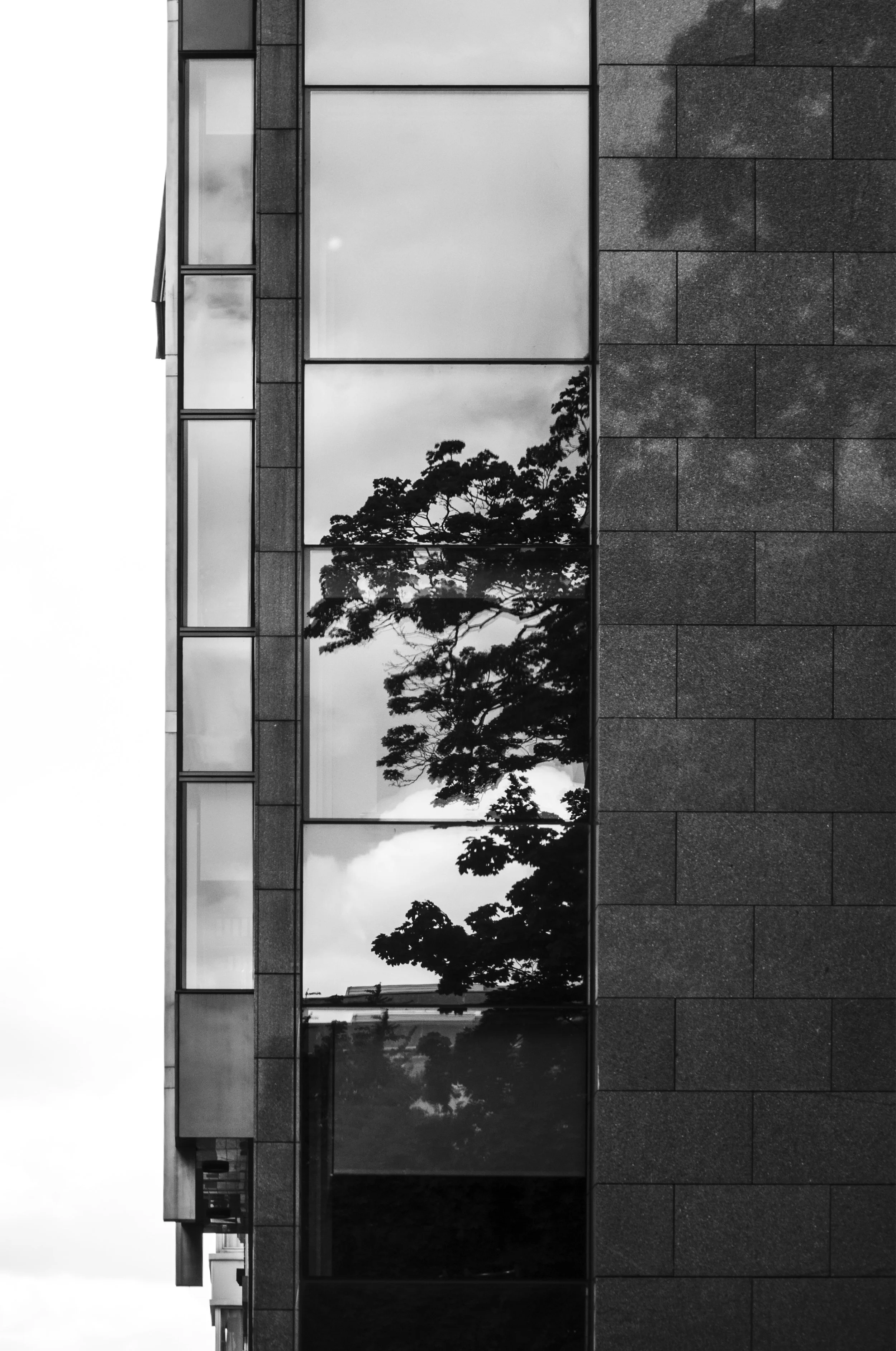 sans titre-327-Modifier.jpg