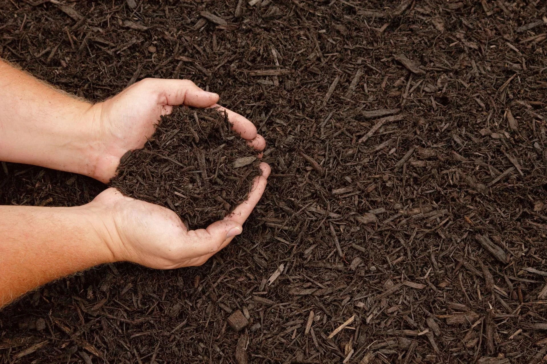 How Landscaping Products Can Transform Your Yard