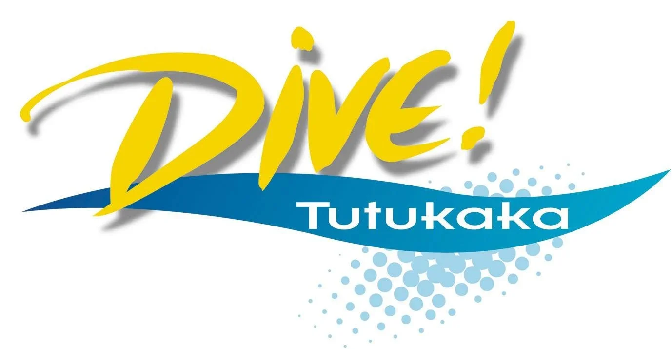 Dive.webp