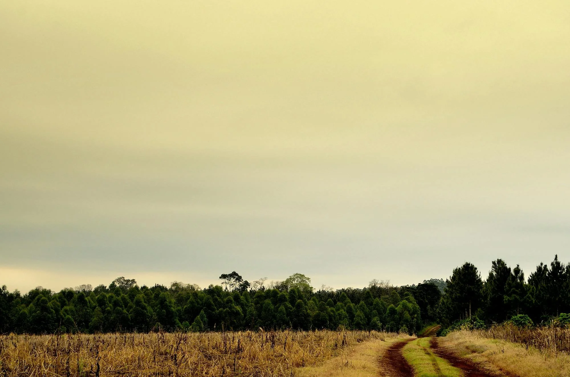 Agricultural Land Opportunity in Corrales