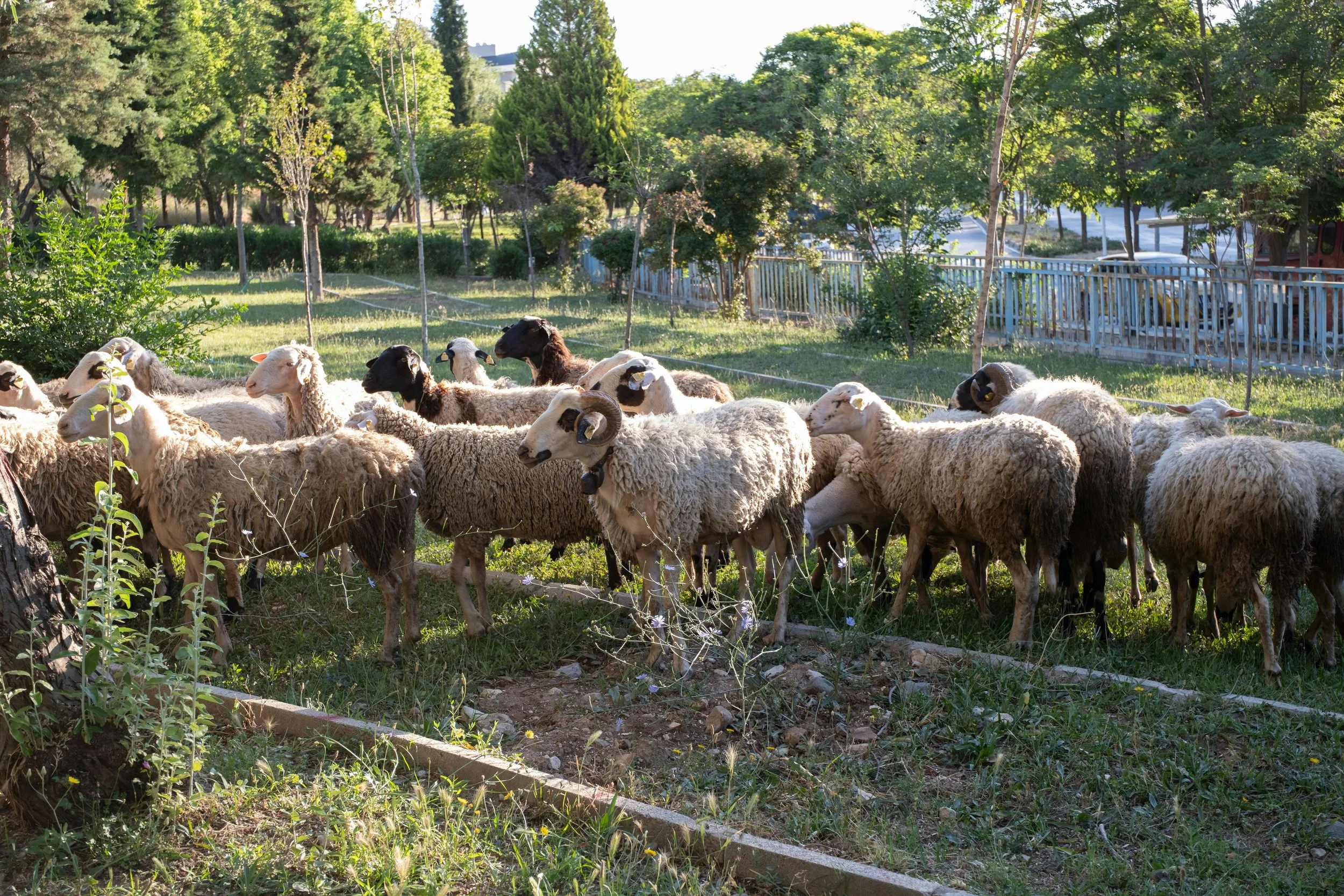 Intro to On-Farm Workshops This Season