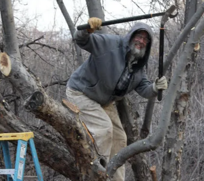 Generating an Old Orchard