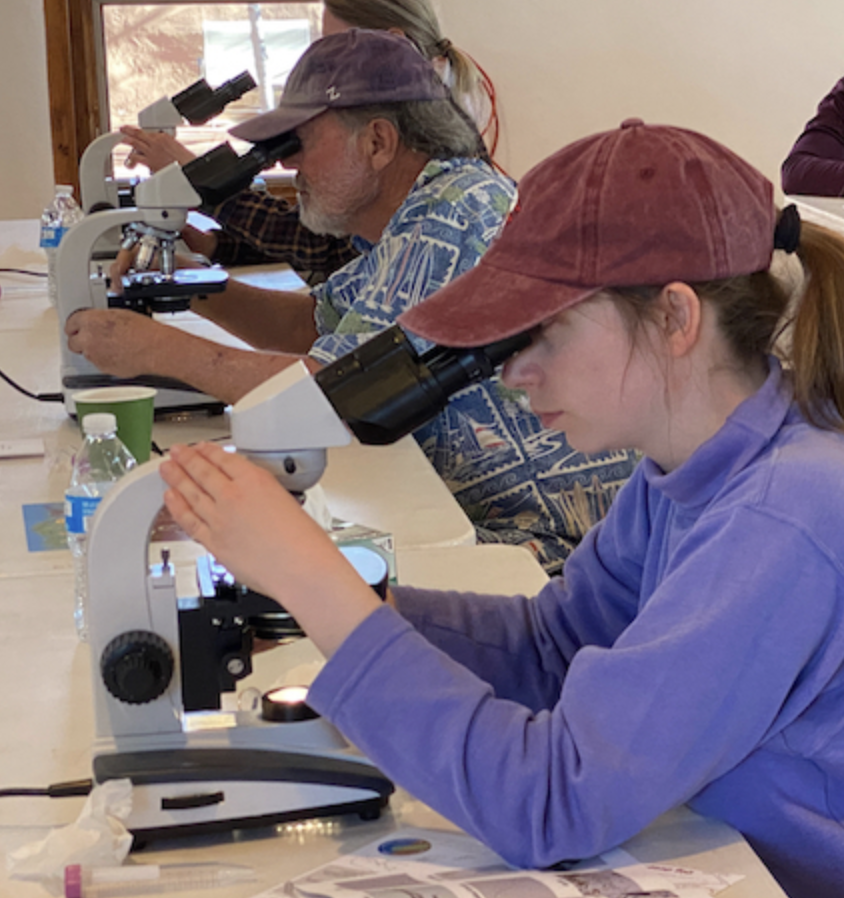Hands-On Soil Microscopy