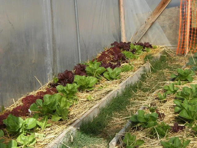 Sustainable Management Workshop - Soil Hydration