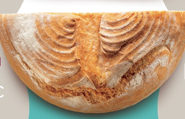 Fermentation 101: Sourdough Science &amp; Safety
