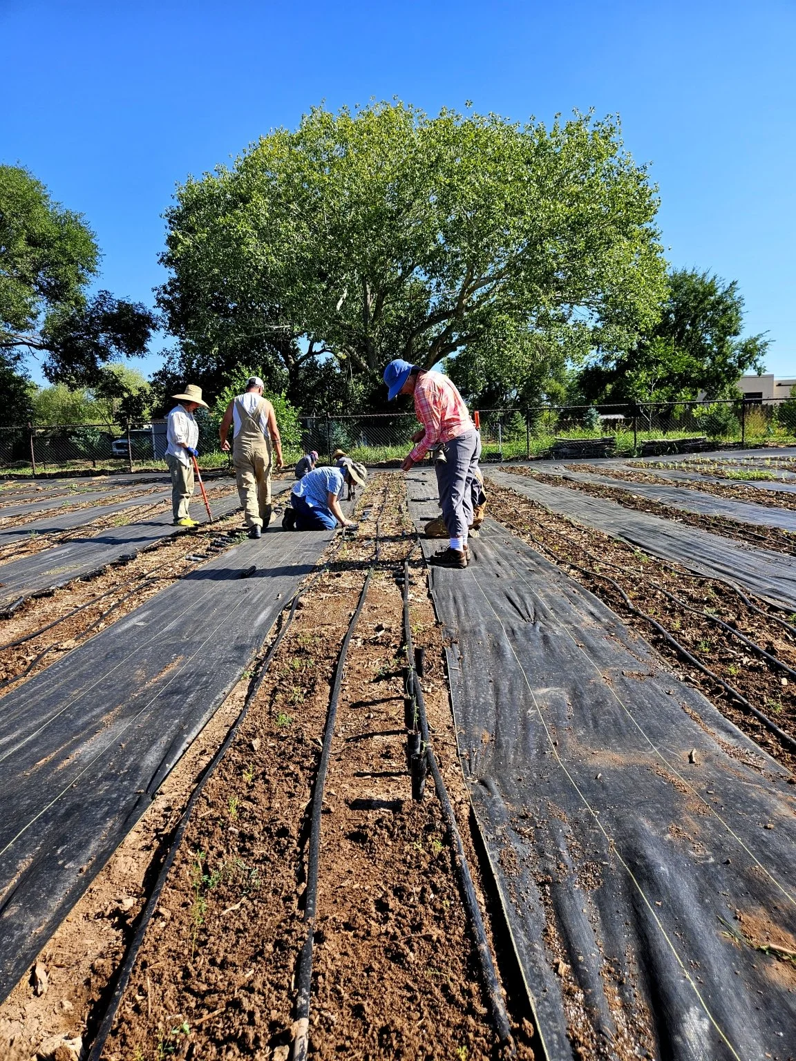 Farmer-To-Farmer Hub &amp; Native Crop Toolkit