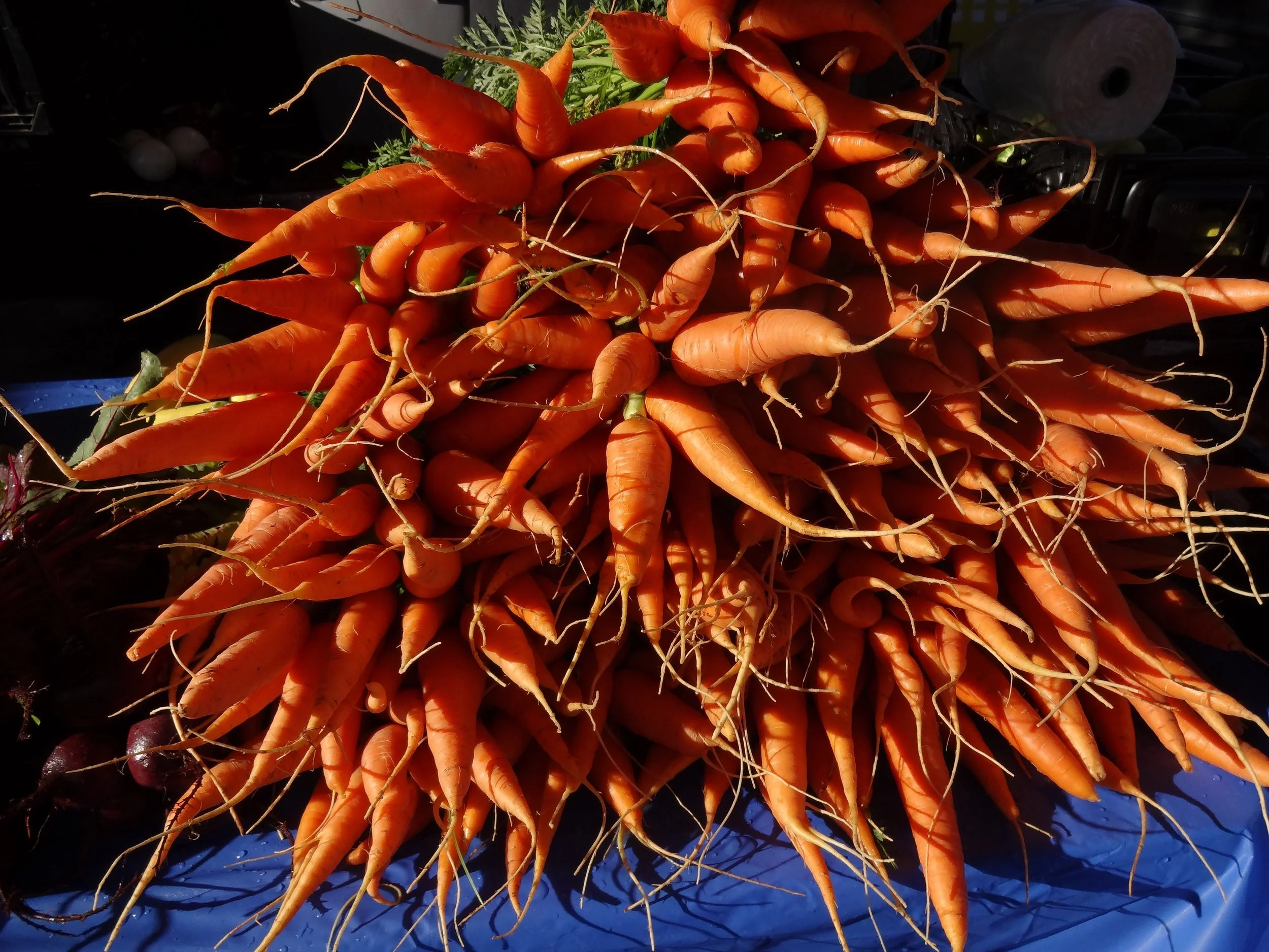 Produce Safety Alliance Training June 16 & 17