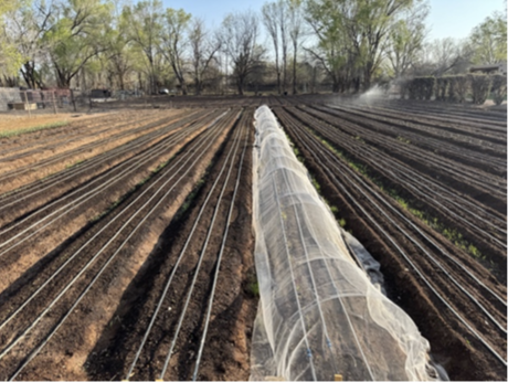 Micro-Irrigation Workshop