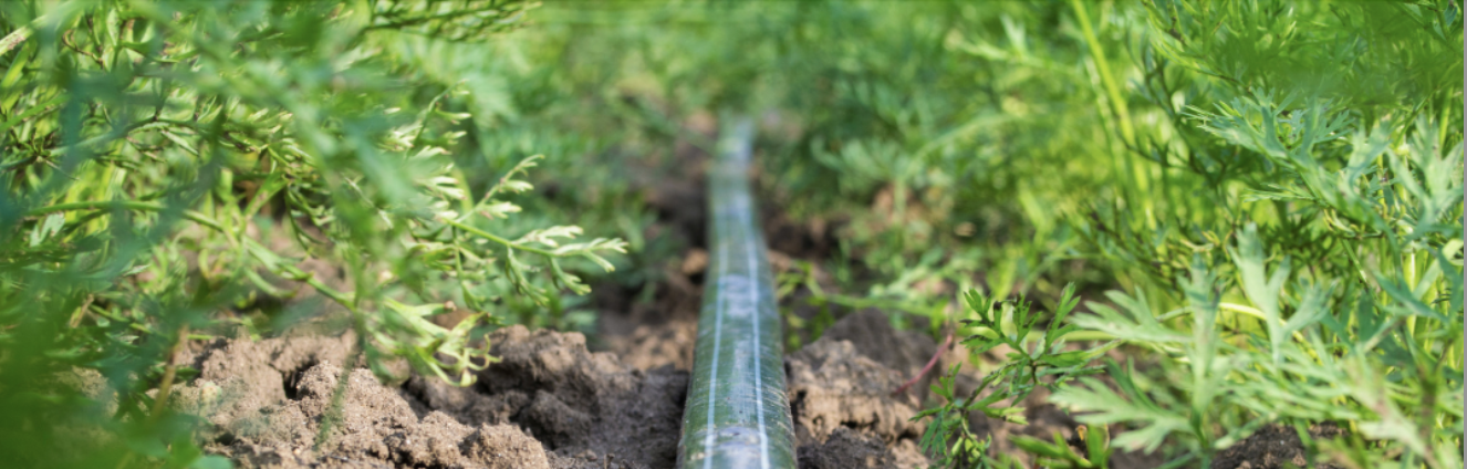 Determining Irrigation Run Times with Drip Tape
