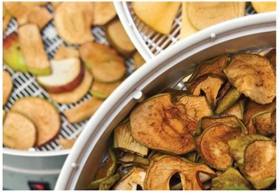 Food Preservation for Specialty Crops - Dehydration Lab