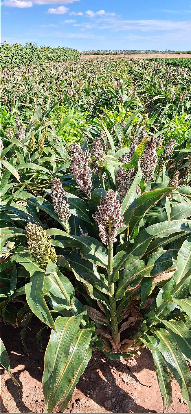 Native Crop Toolkit