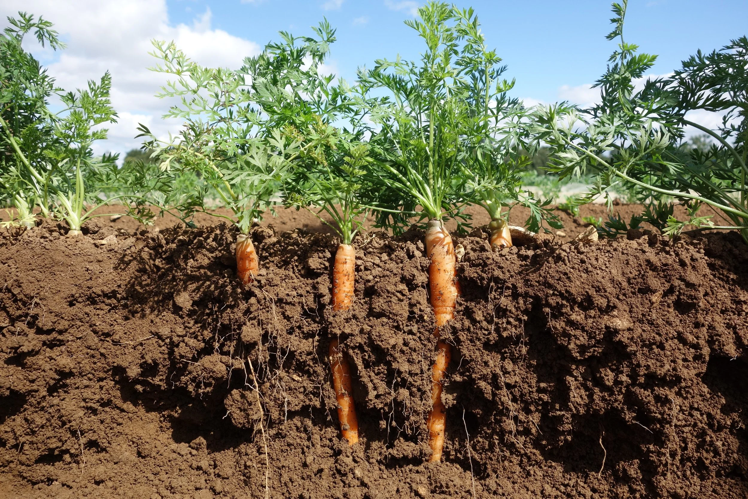 2026 NM Soil Health Conference, ABQ