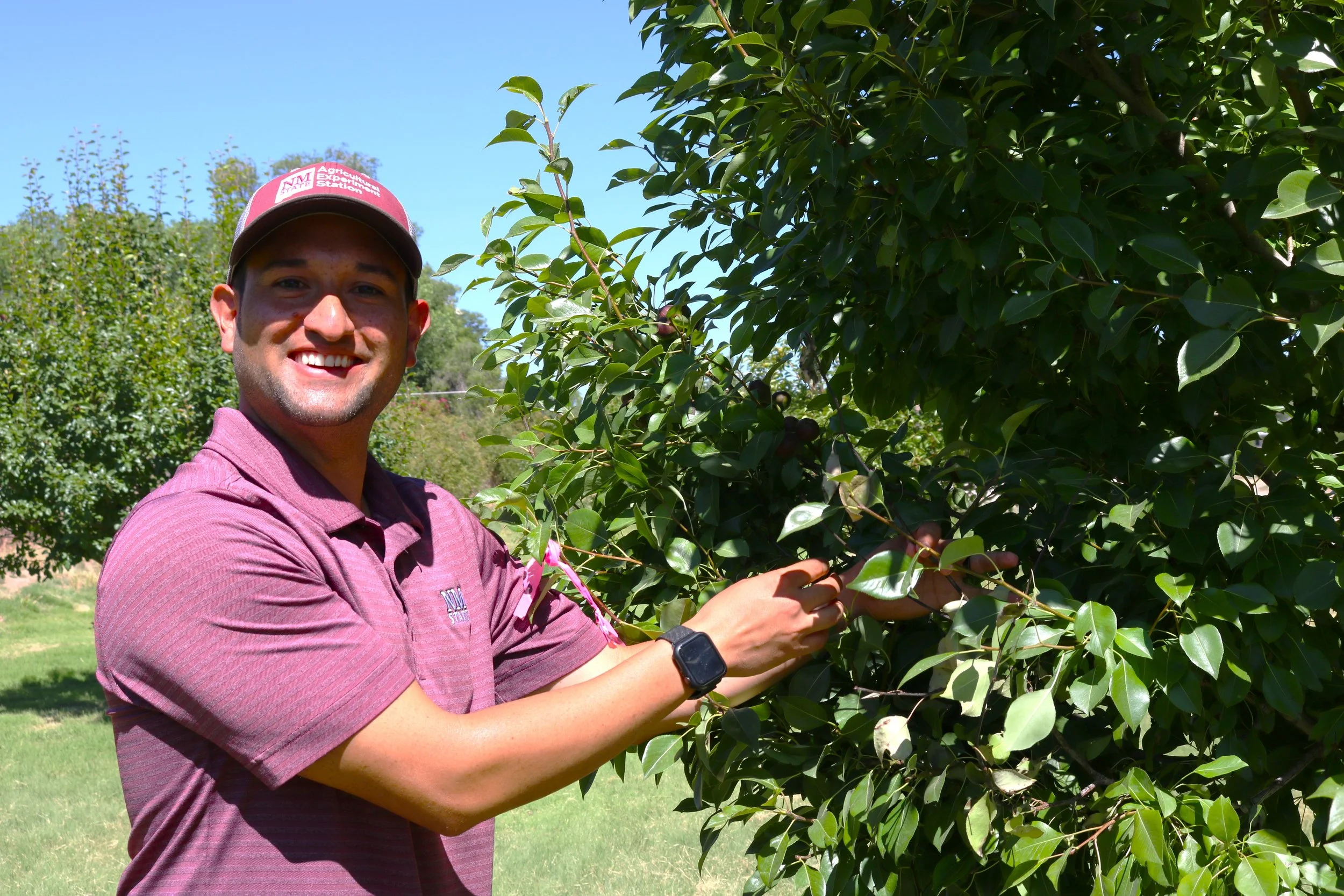 2026: Growing Challenges and Plant Diseases, a Plant Diagnostic Clinic Perspective