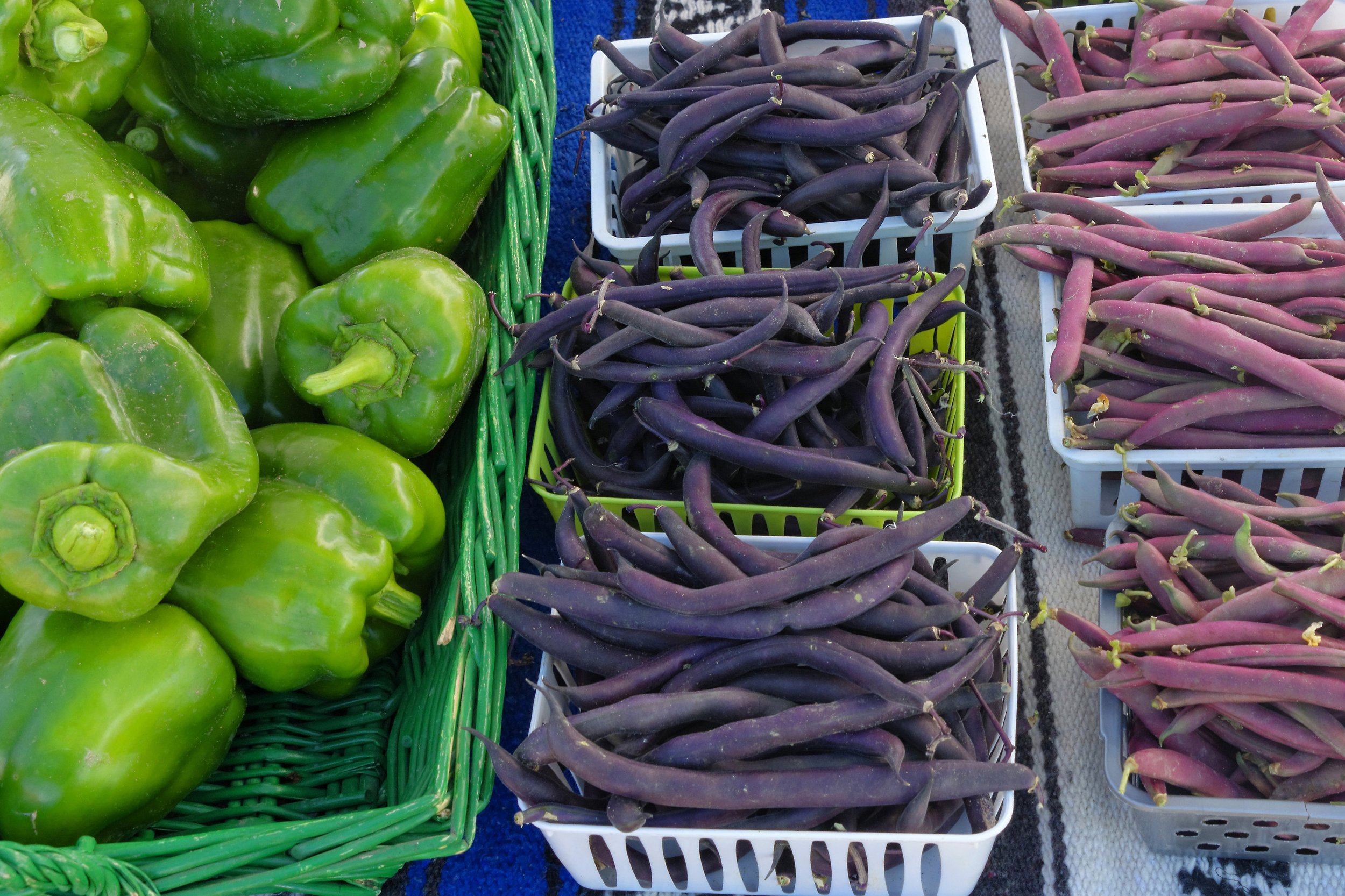 Farmer Issues: Education Series & Round Table