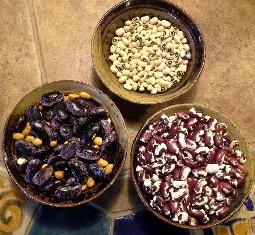 seed saving Lynda Garvin.jpg