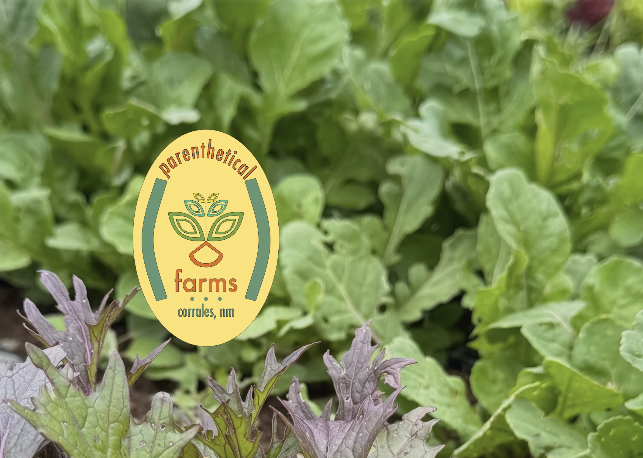 Label for parenthetical farms in Corrales, NM, with a logo featuring a stylized plant with leaves inside a yellow oval, placed over green leafy plants.
