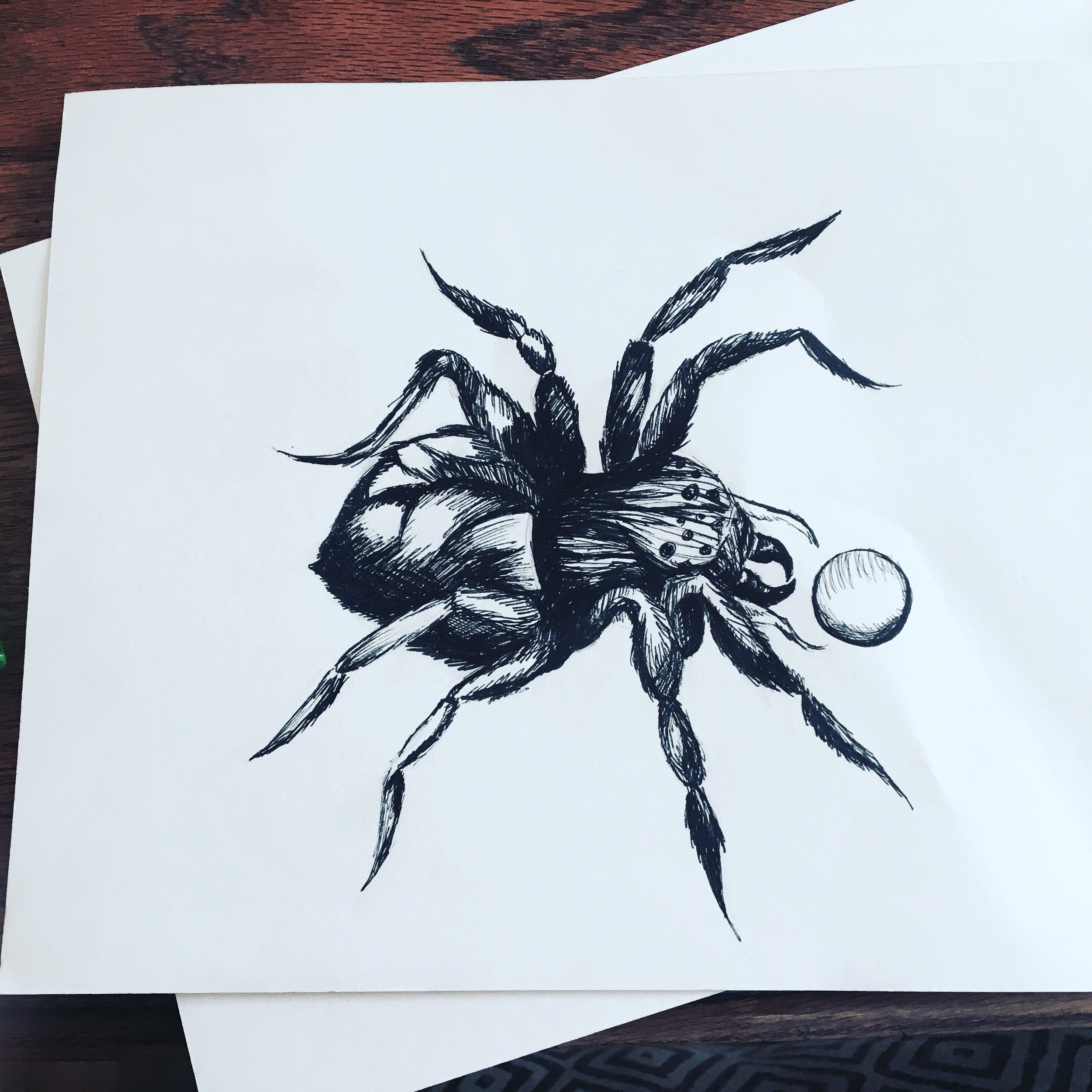 Black ink drawing of a spider with a round object near its leg, on a white sheet of paper placed on a wooden surface.