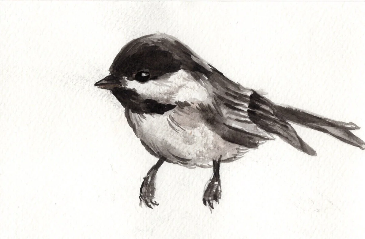 Chickadee