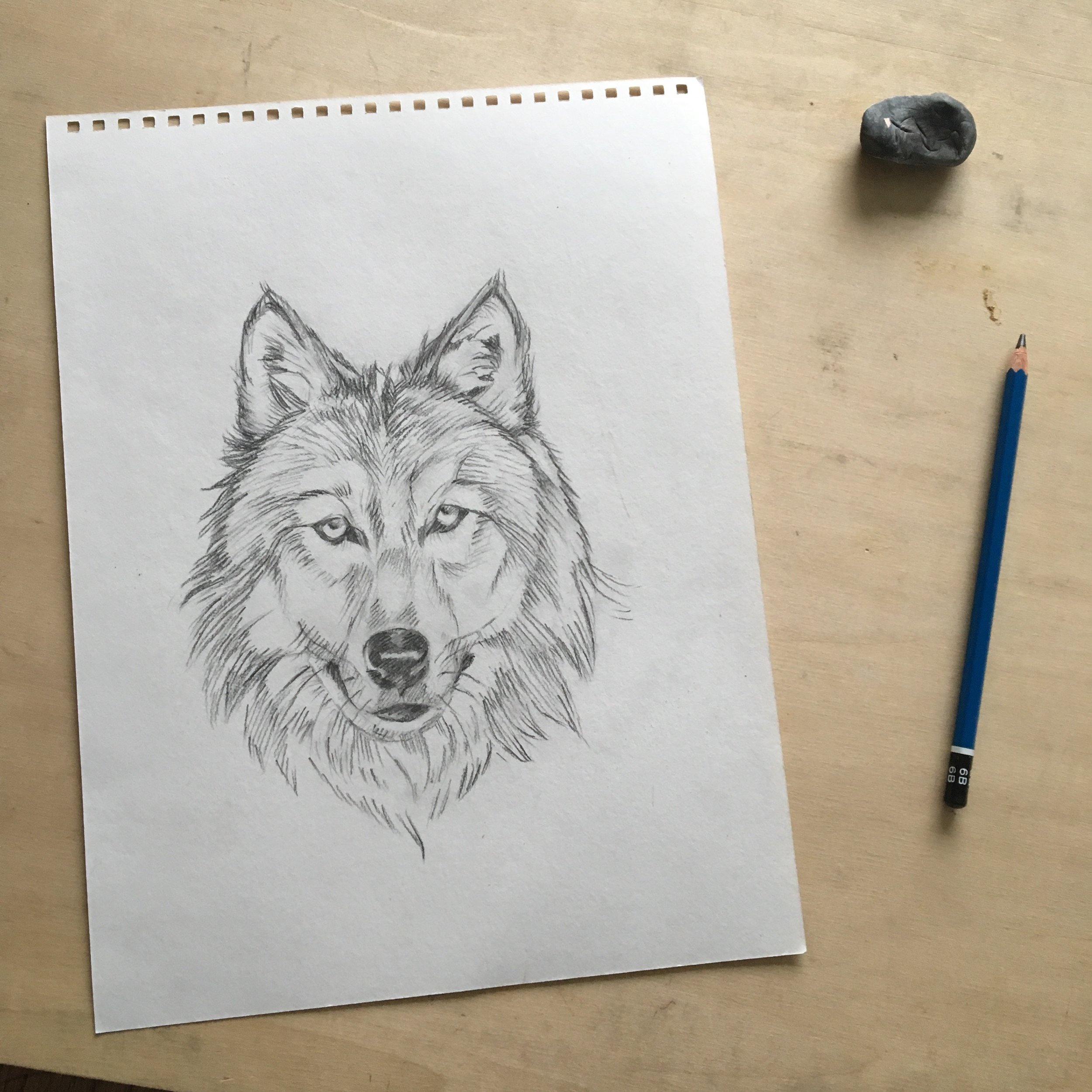 A pencil sketch of a wolf's head on a piece of paper, placed on a wooden surface with a blue pencil and an eraser nearby.