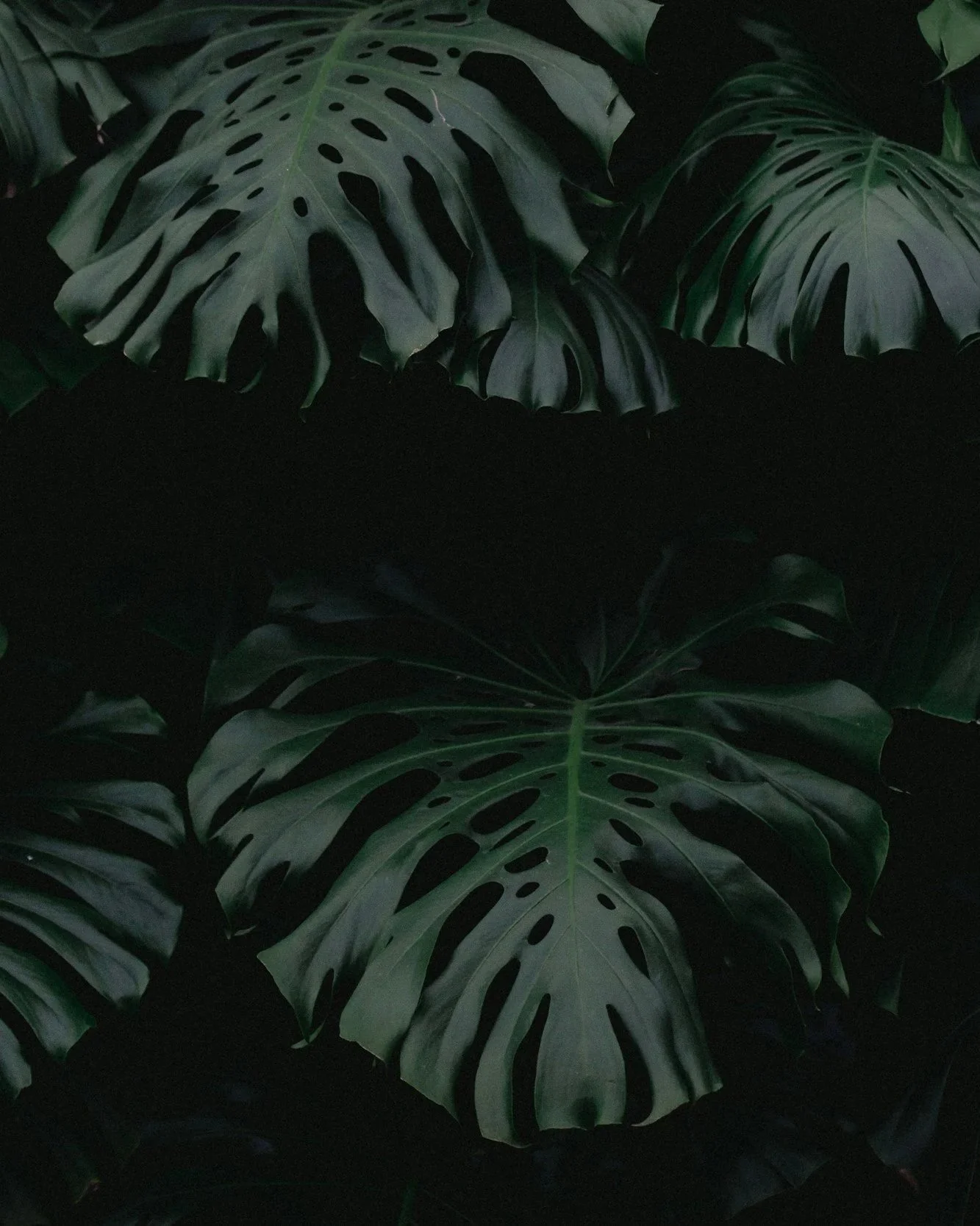 metabolic health in Chicago, IL