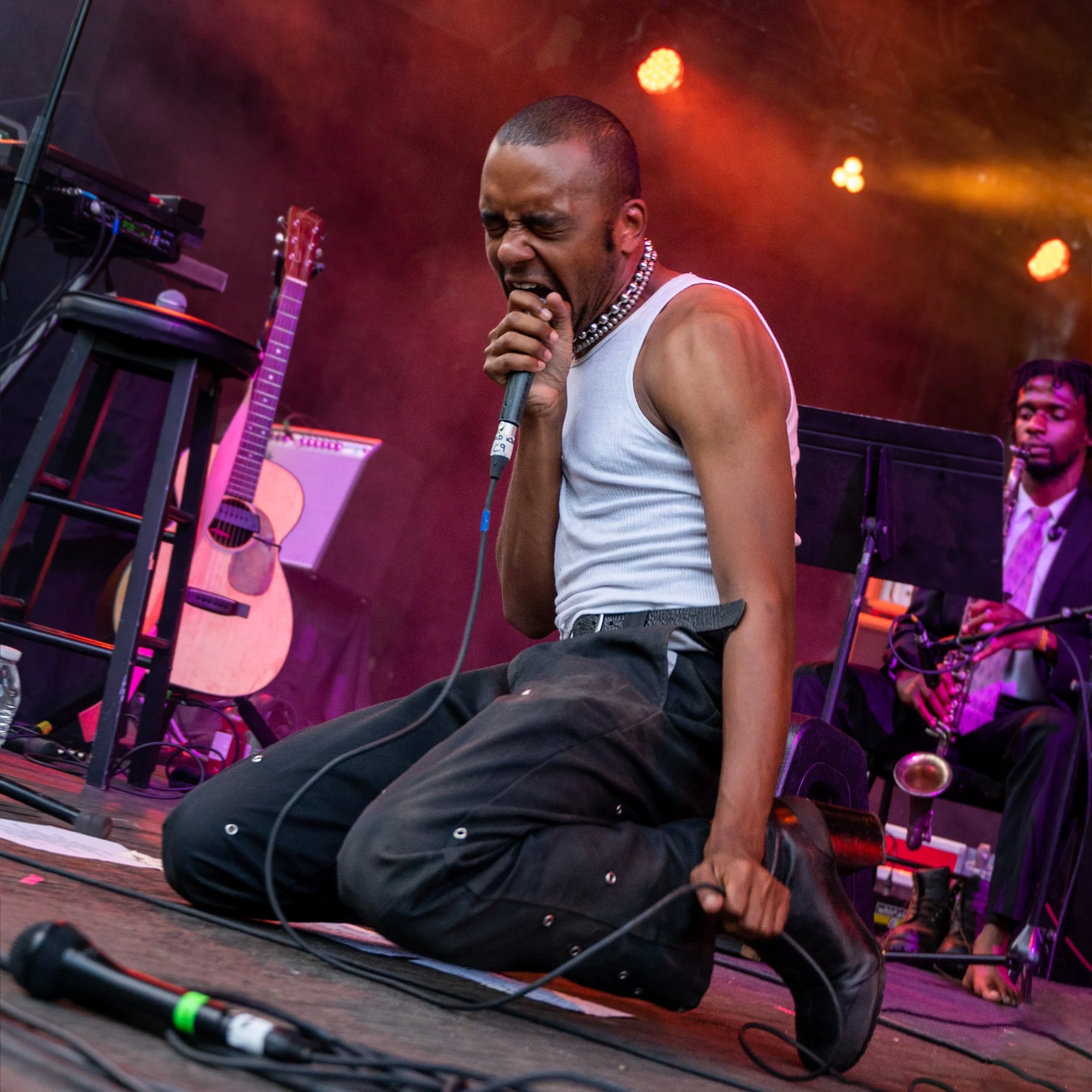 BRICC Celebrate Brooklyn