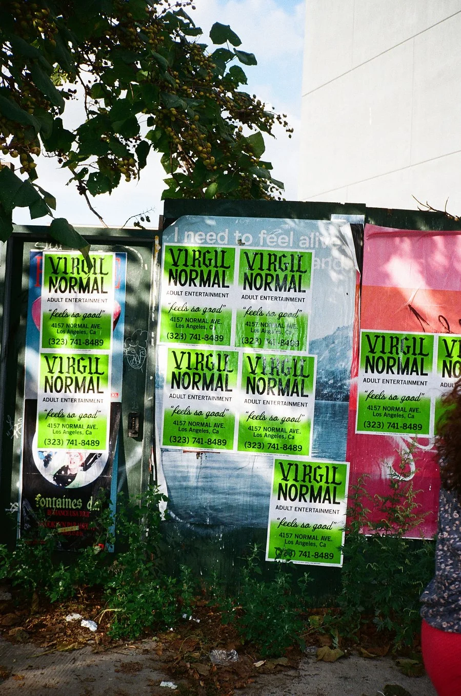VirgilNormal_Posters_Dahsar_RashadRastam05.jpeg