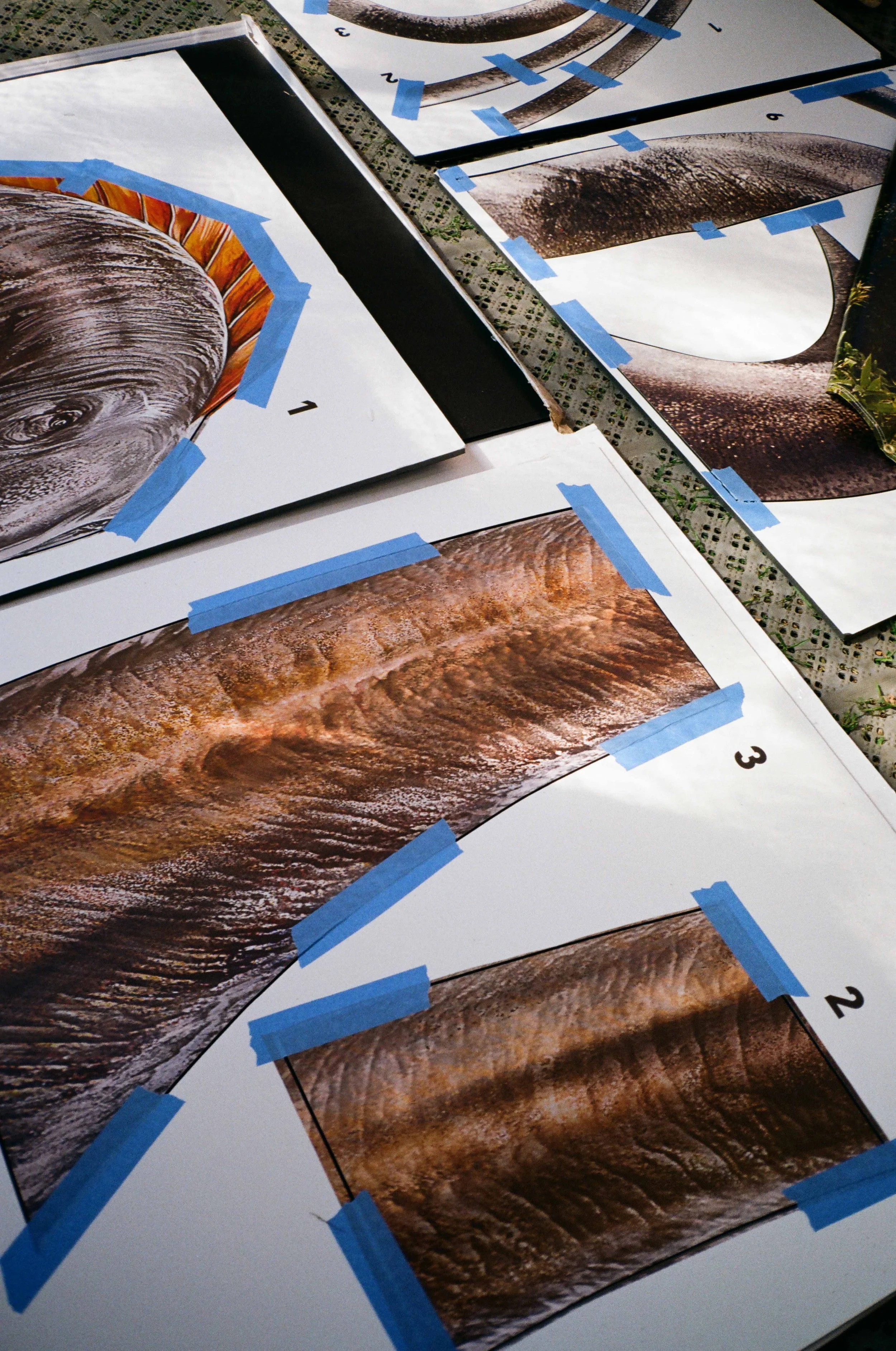 Jurassic Park campaign for the Minnesota State Fair in Minneapolis.