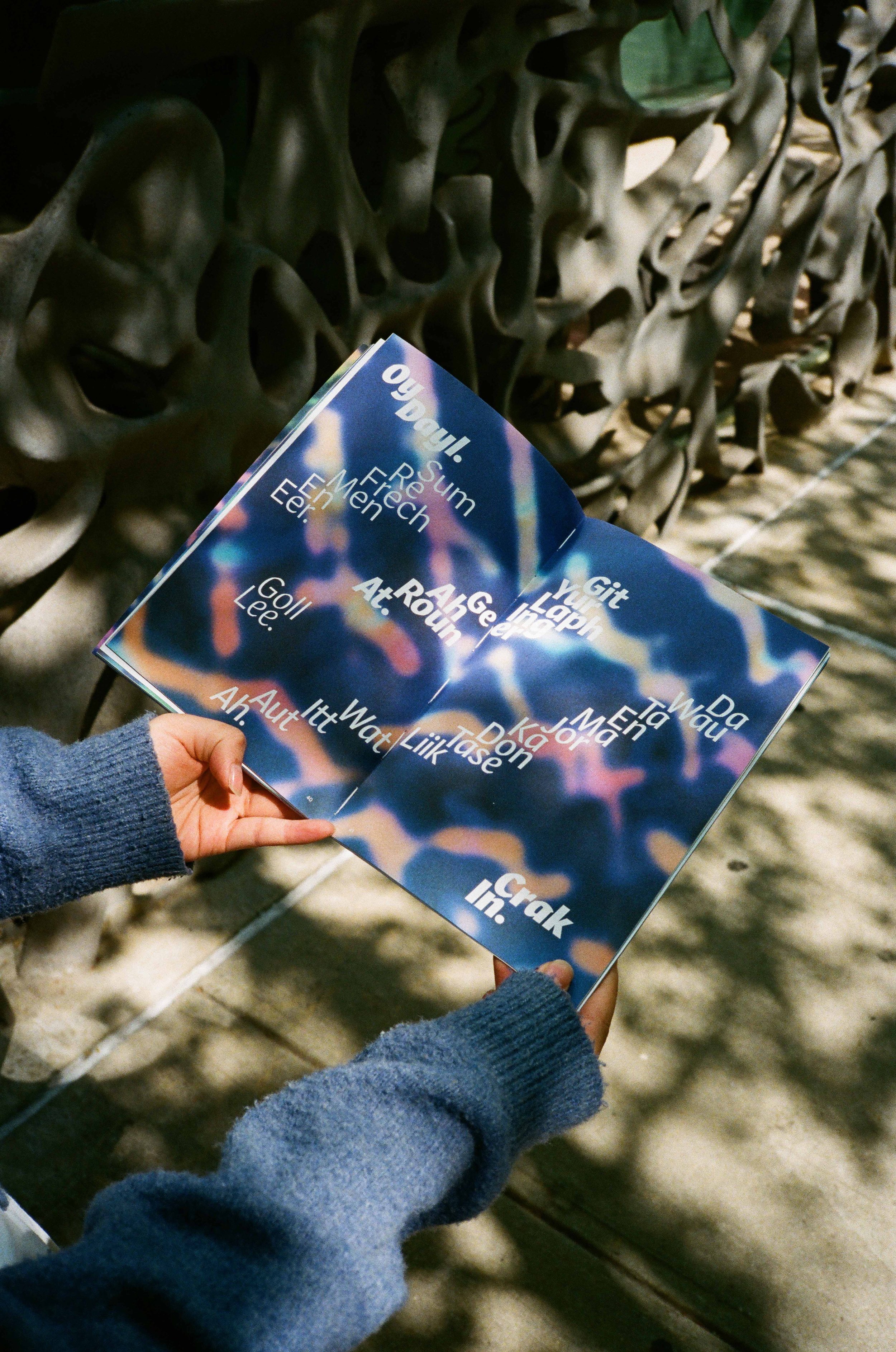 Commercial Type created books and merch where Dahsar photographed their goods for their new website.