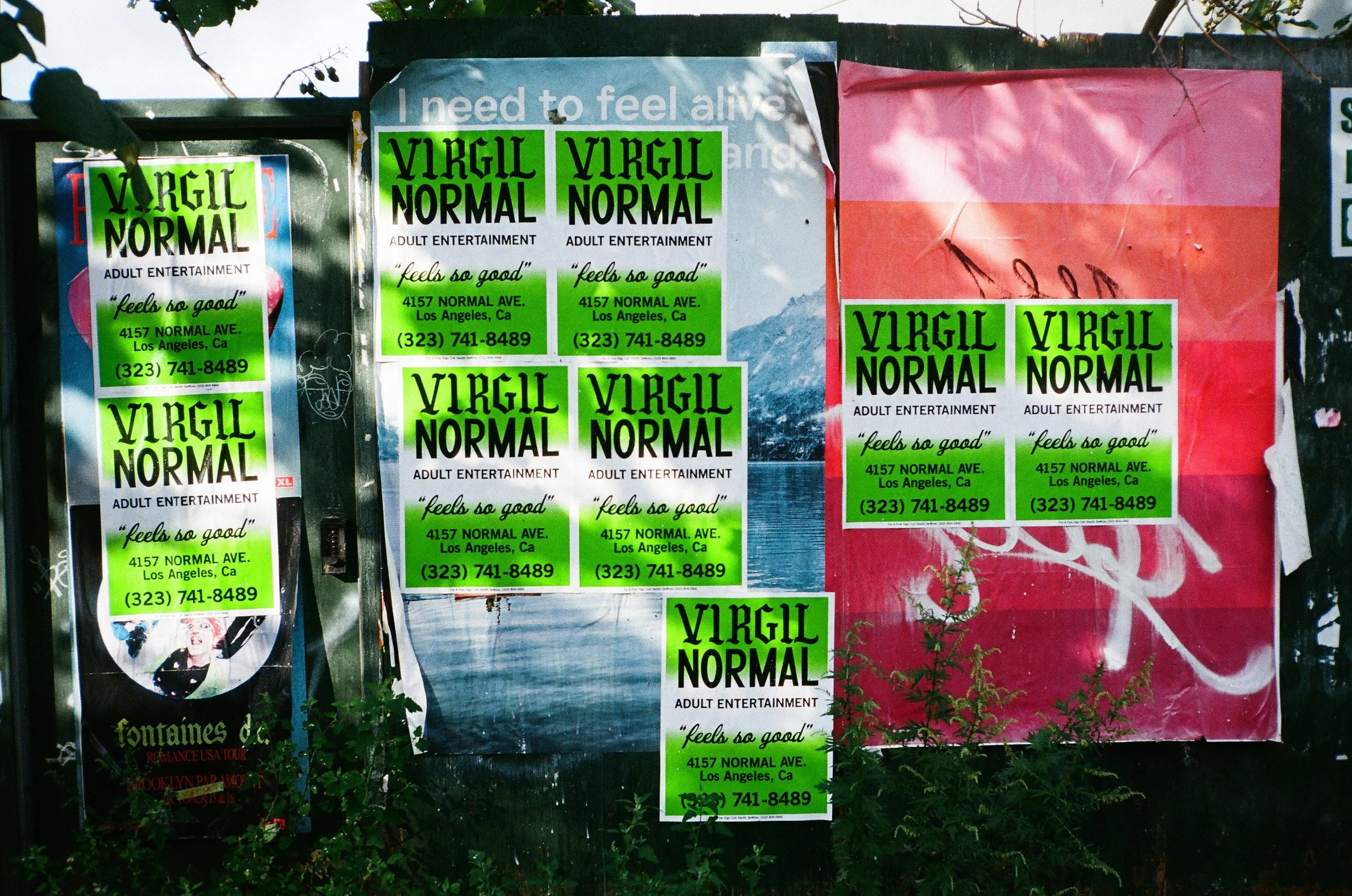 VirgilNormal_Posters_Dahsar_RashadRastam06.jpeg