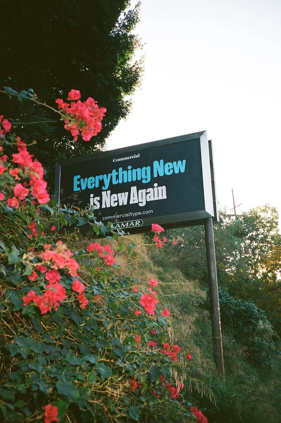 10_Billboards_CommercialType_LA_Dahsar_RashadRastam09.jpeg