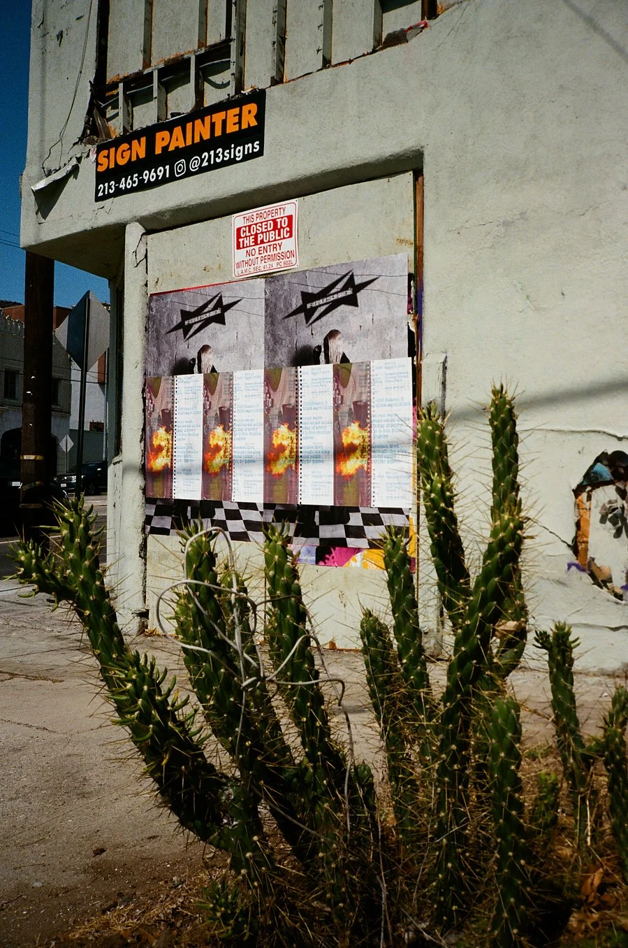 WIPLA_Posters_Dahsar_RashadRastam09.jpg