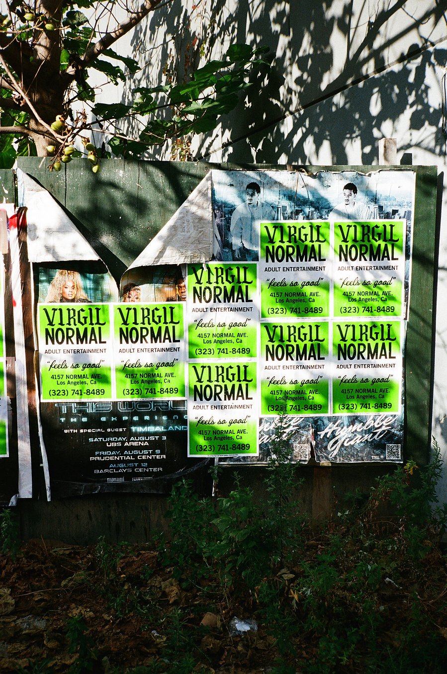 VirgilNormal_Posters_Dahsar_RashadRastam02.jpeg