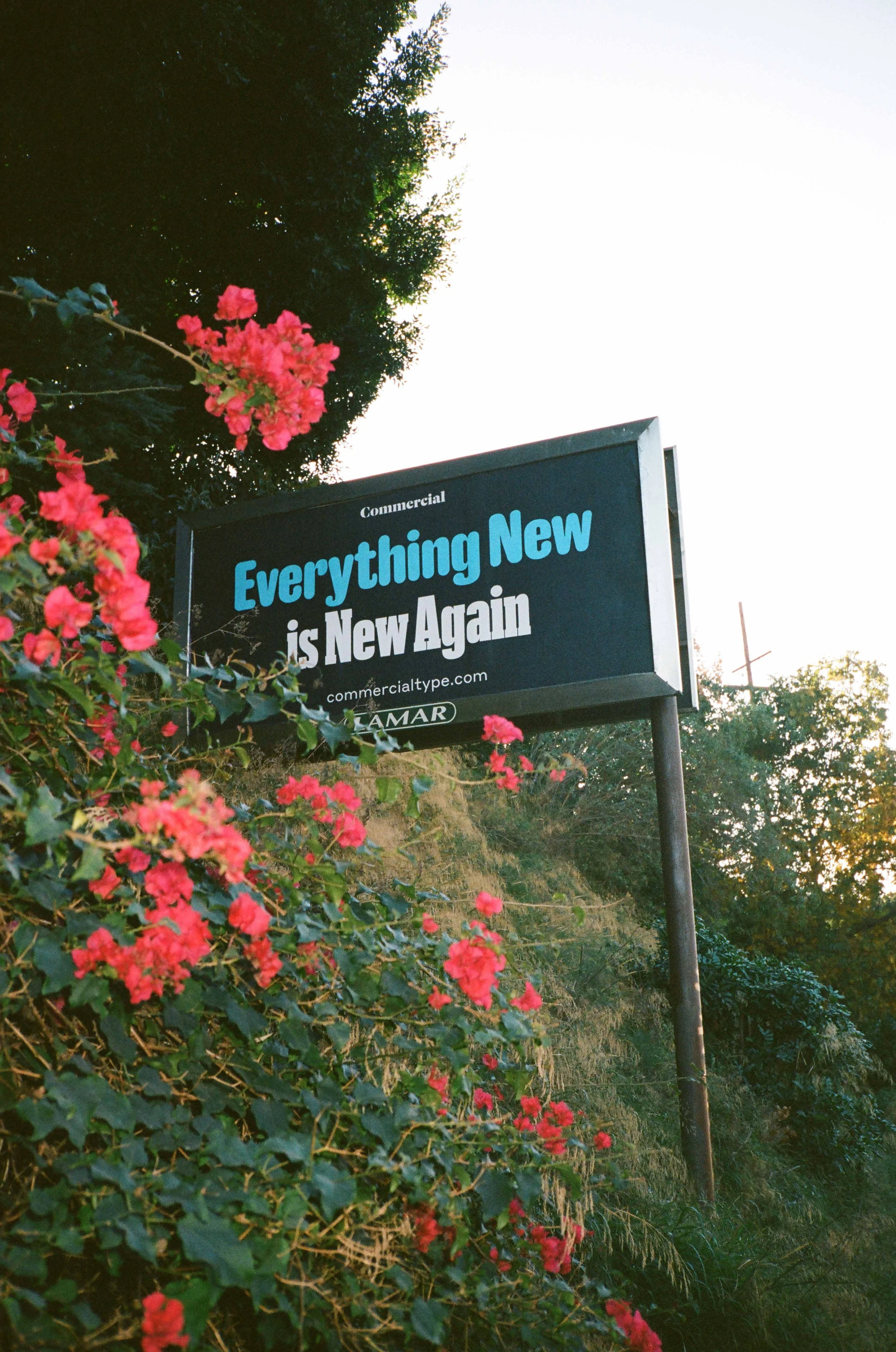 Commercial Type tapped Dahsar to create and produce billboards in Los Angeles and New York.