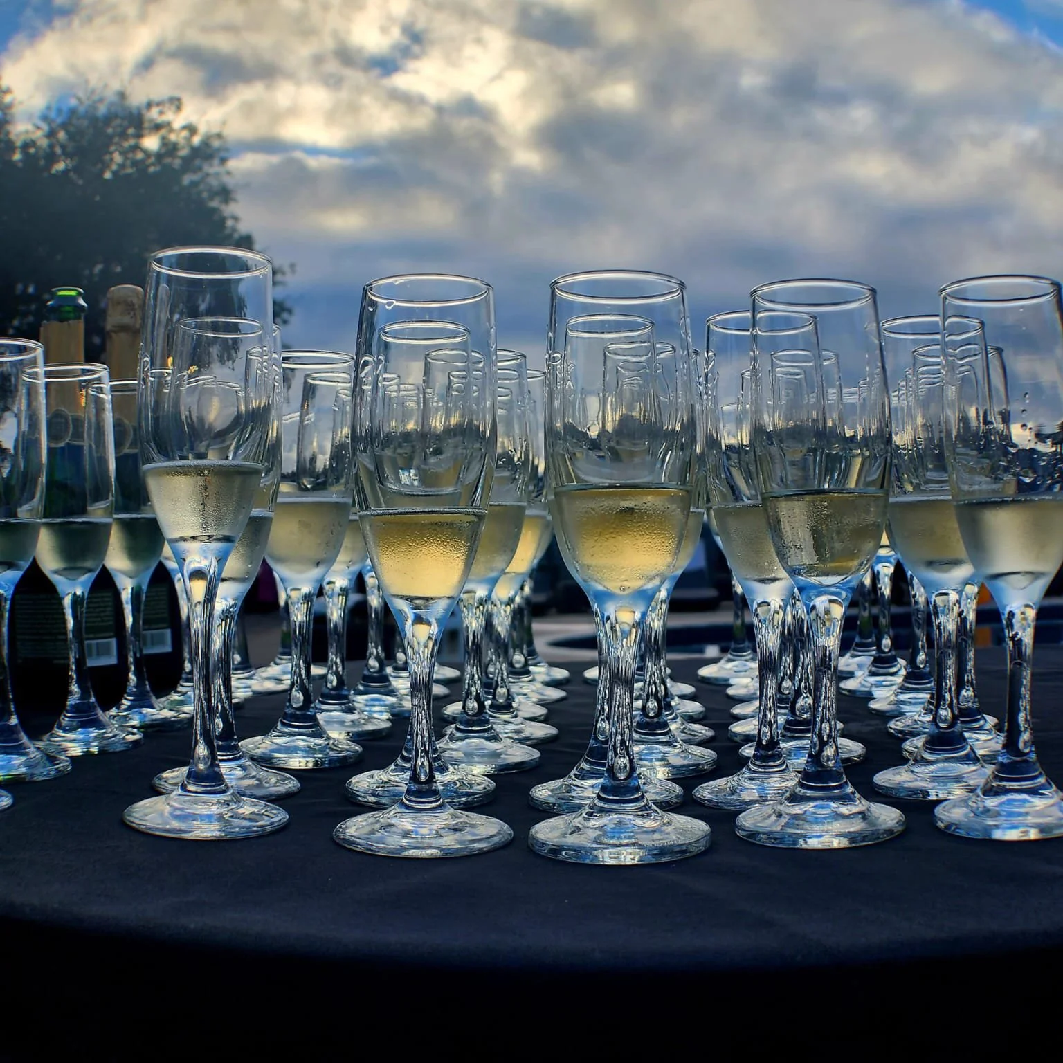 sommelier led champagne toast in sonoma
