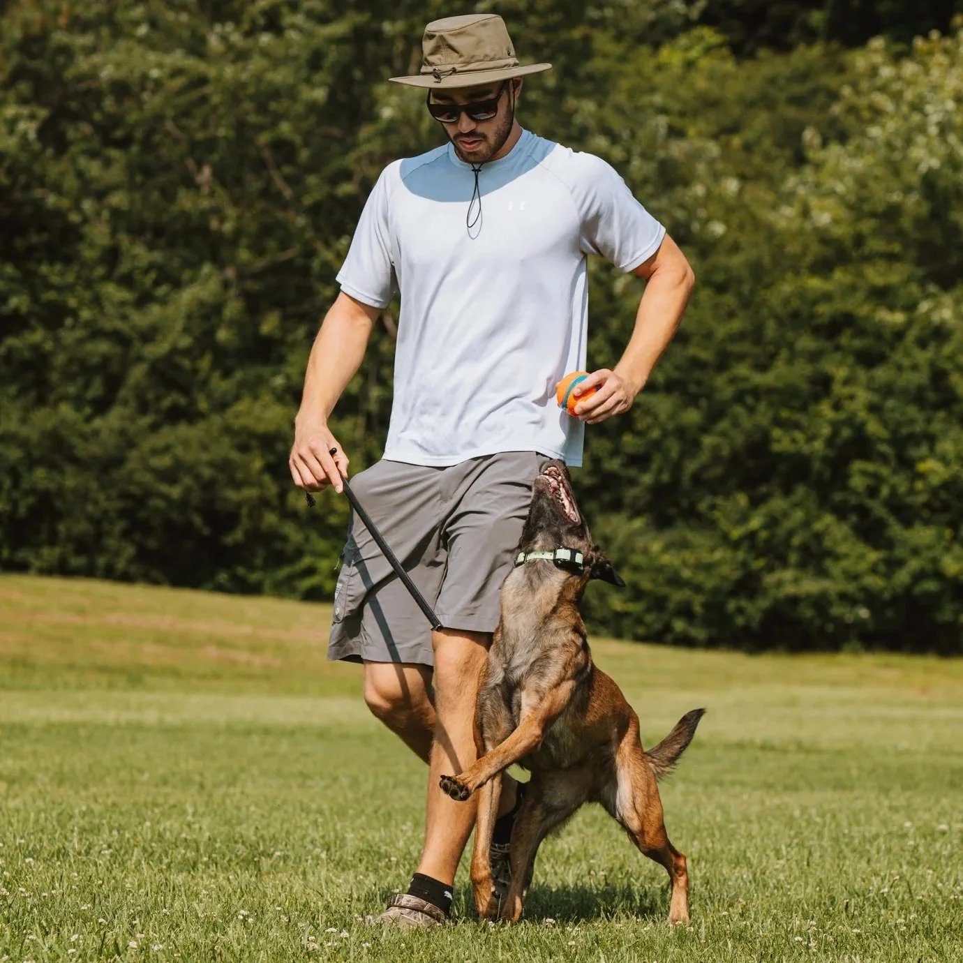 Outdoor obedience training with Oakville dog trainer.