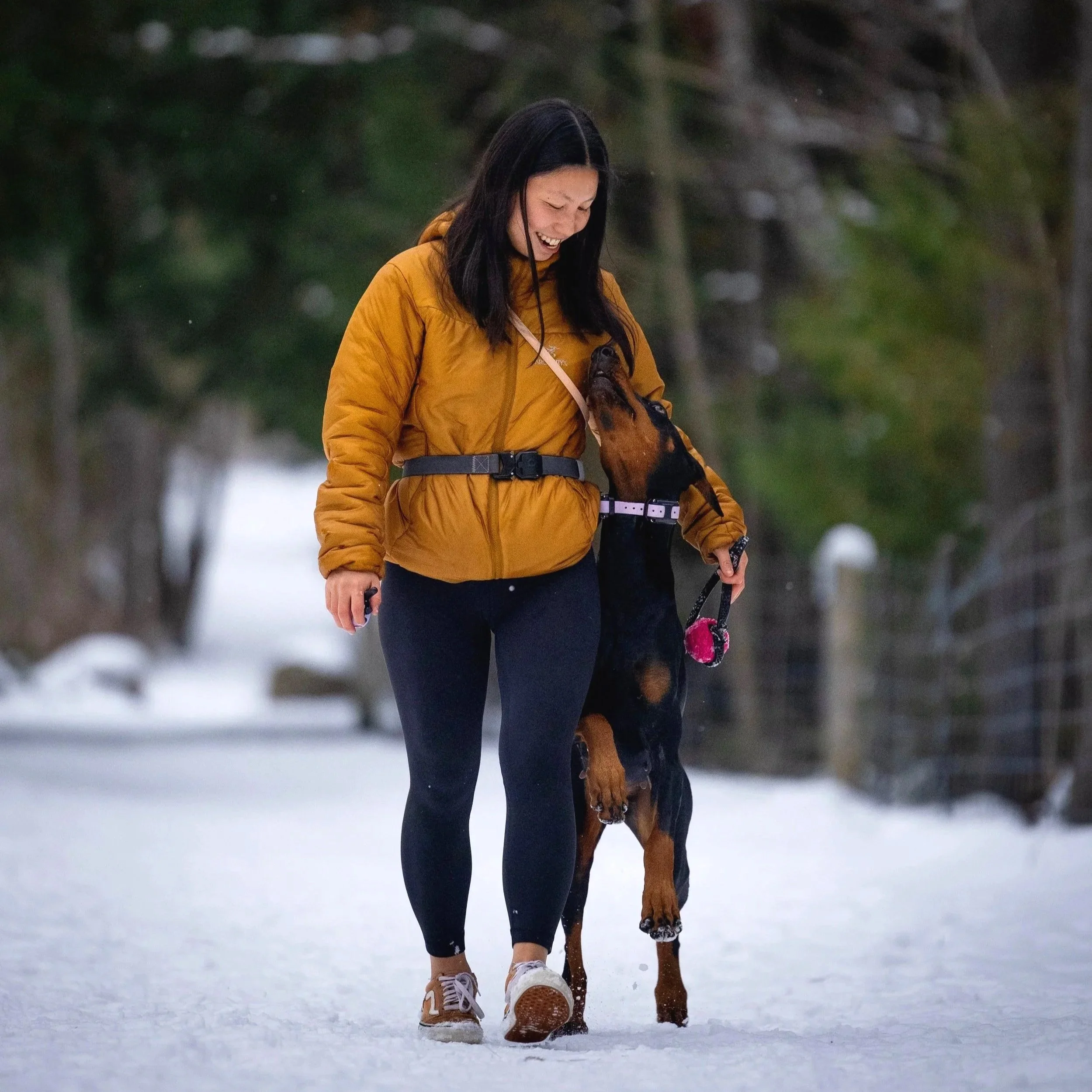 Handler walking a dog calmly on leash during winter training, focusing on real-life obedience with Lakeshore Canine.
