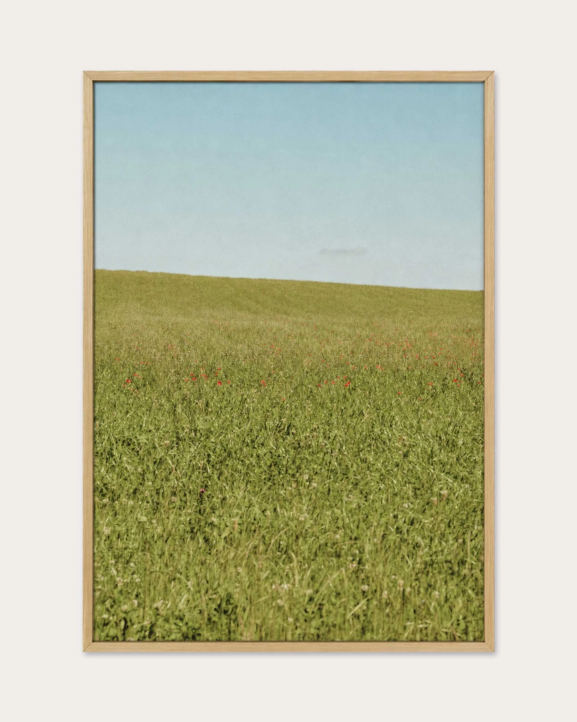 WHERE THE GRAS ENDS WOOD FRAME THUMBNAIL.jpg