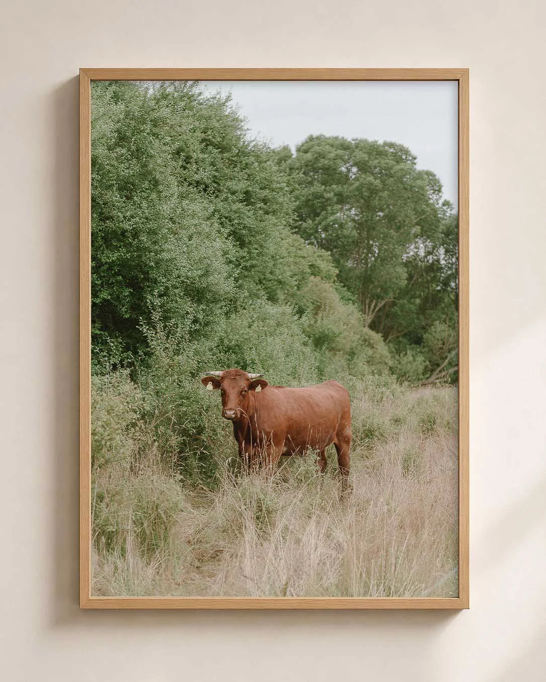COW_MOCKUP.jpg