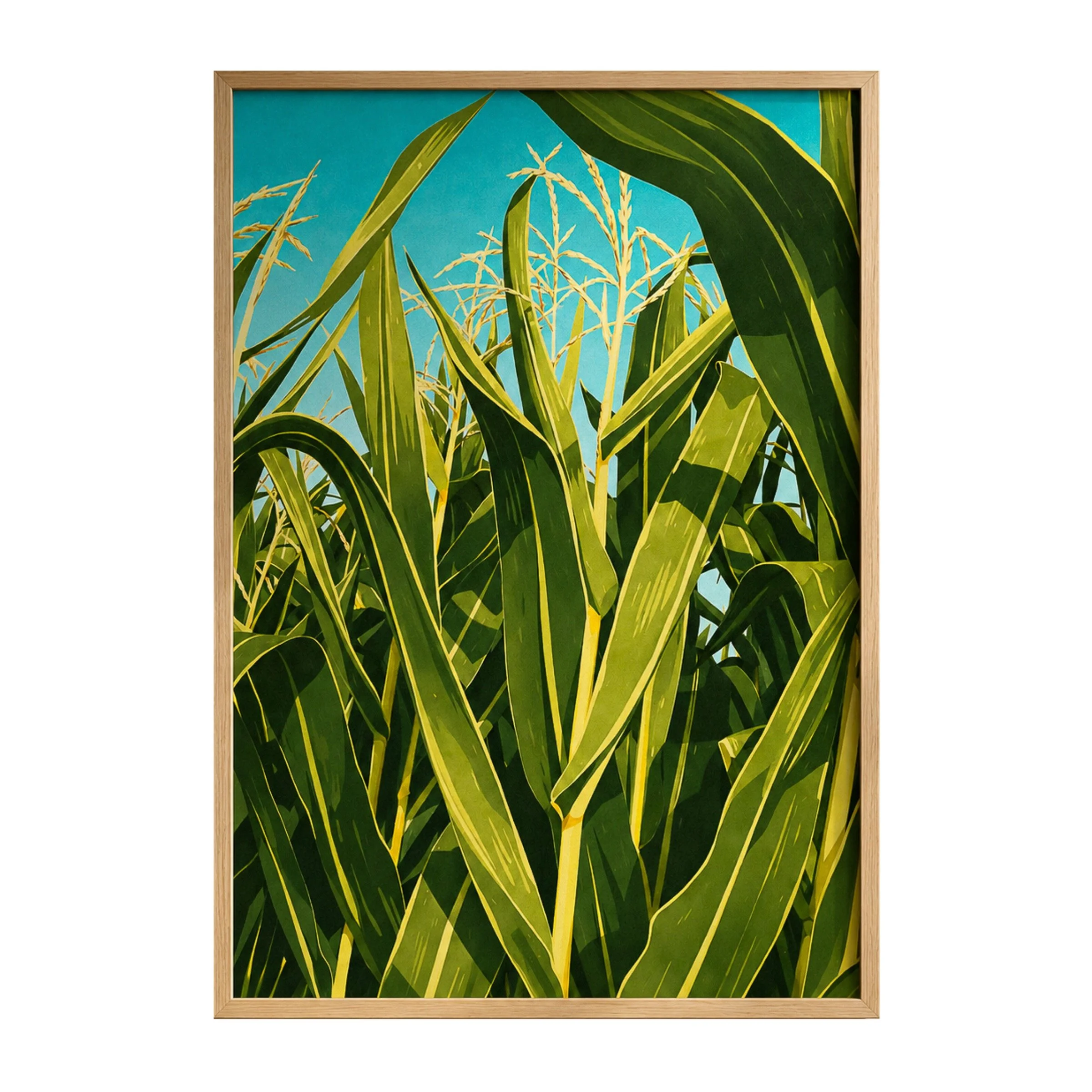 Corn Field